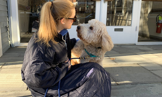 Best Dog Walking Coat for Cool Weather